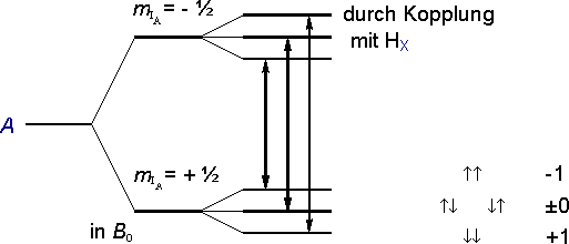 Triplettaufspaltung